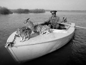 История в фотографиях: люди, времена и нравы