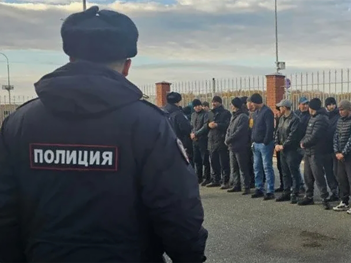 Мигранты