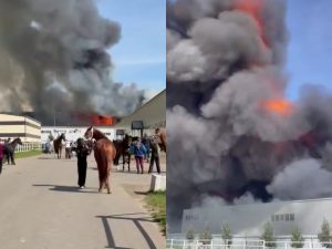 Пожар в Некрасовском на площади в 15 тыс. кв. м: под угрозой оказался конный клуб