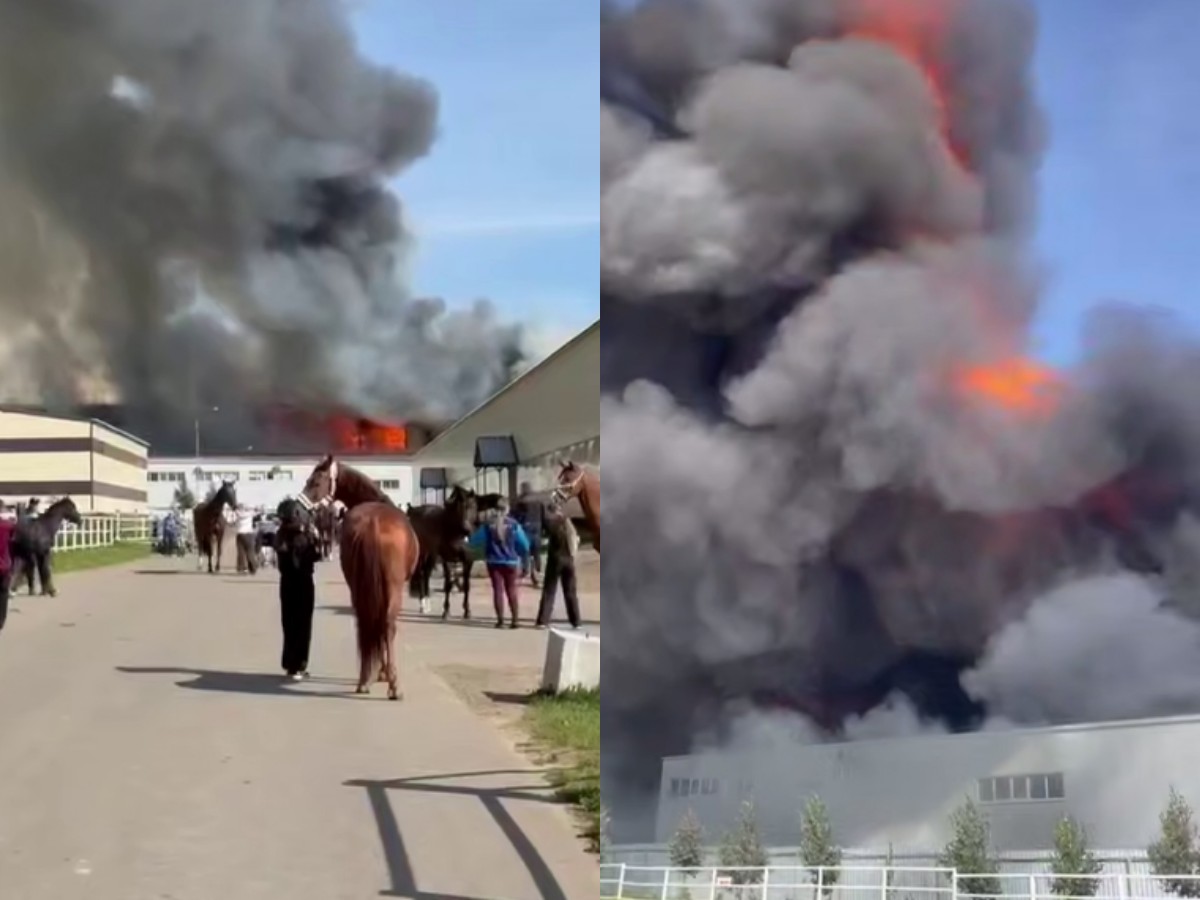 Пожар в Некрасовском на площади в 15 тыс. кв. м: под угрозой оказался конный клуб