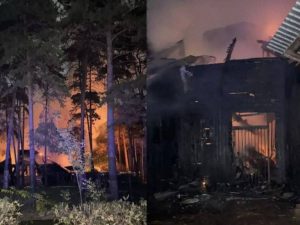 Стало известно о гибели лам и альпак при пожаре в российском зоопарке