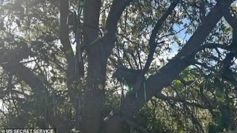 На Трампа объявили охоту: секретная служба предотвратила очередное покушение