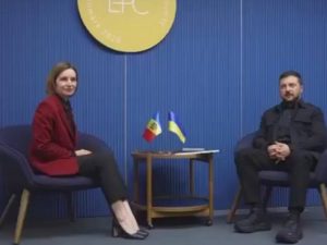 Зелеходы
