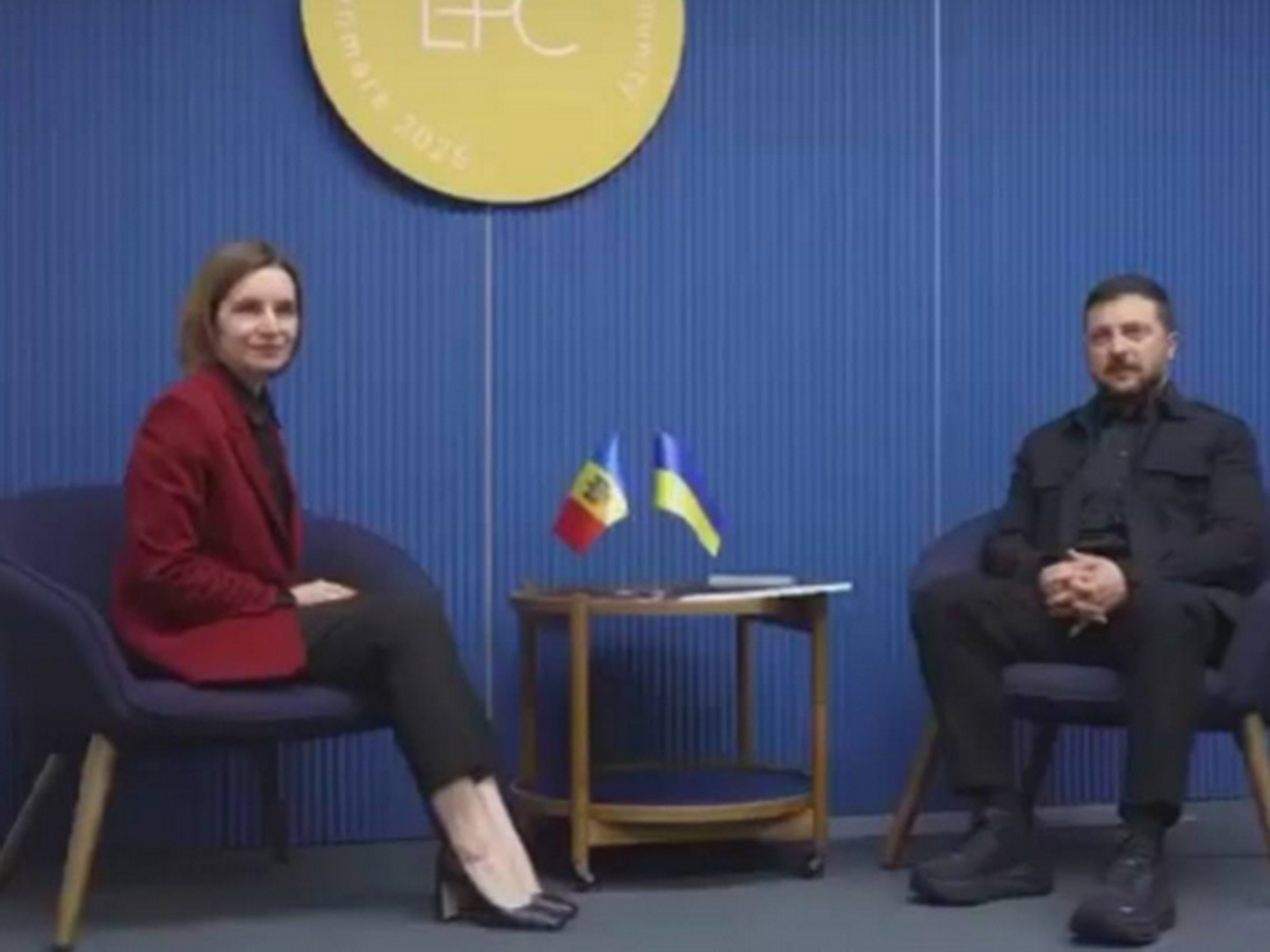 Зелеходы