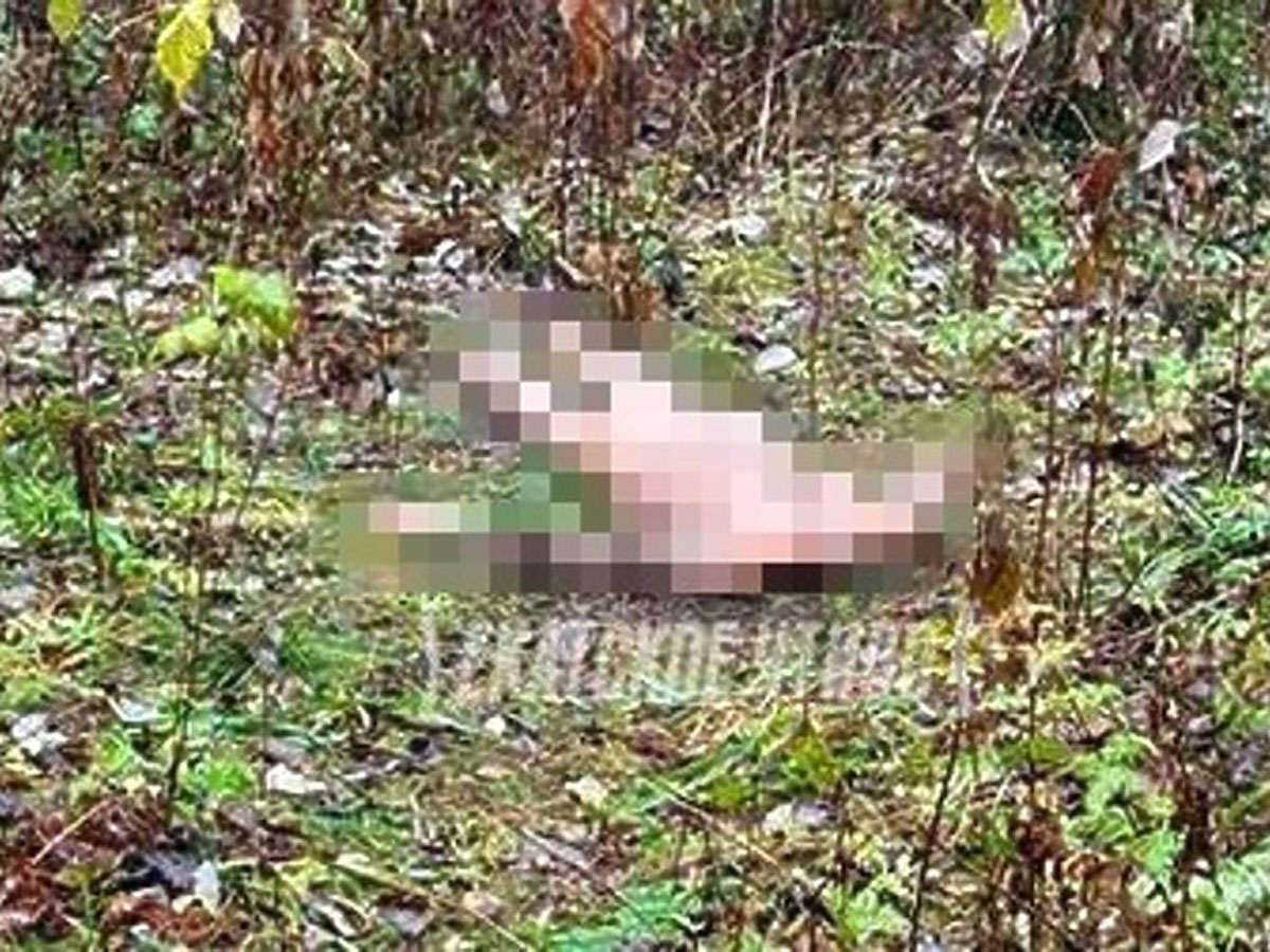 Голую обезглавленную женщину нашли в парке Екатеринбурга