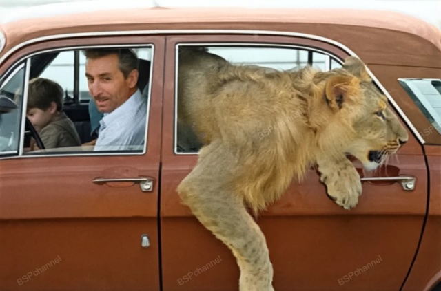 Редкие исторические фото, передающие атмосферу времени