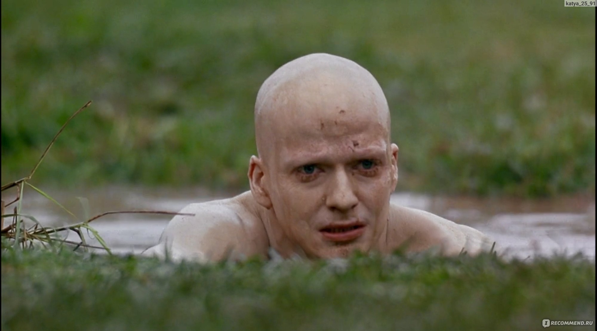 Какие киношедевры нам подарил 1995 год