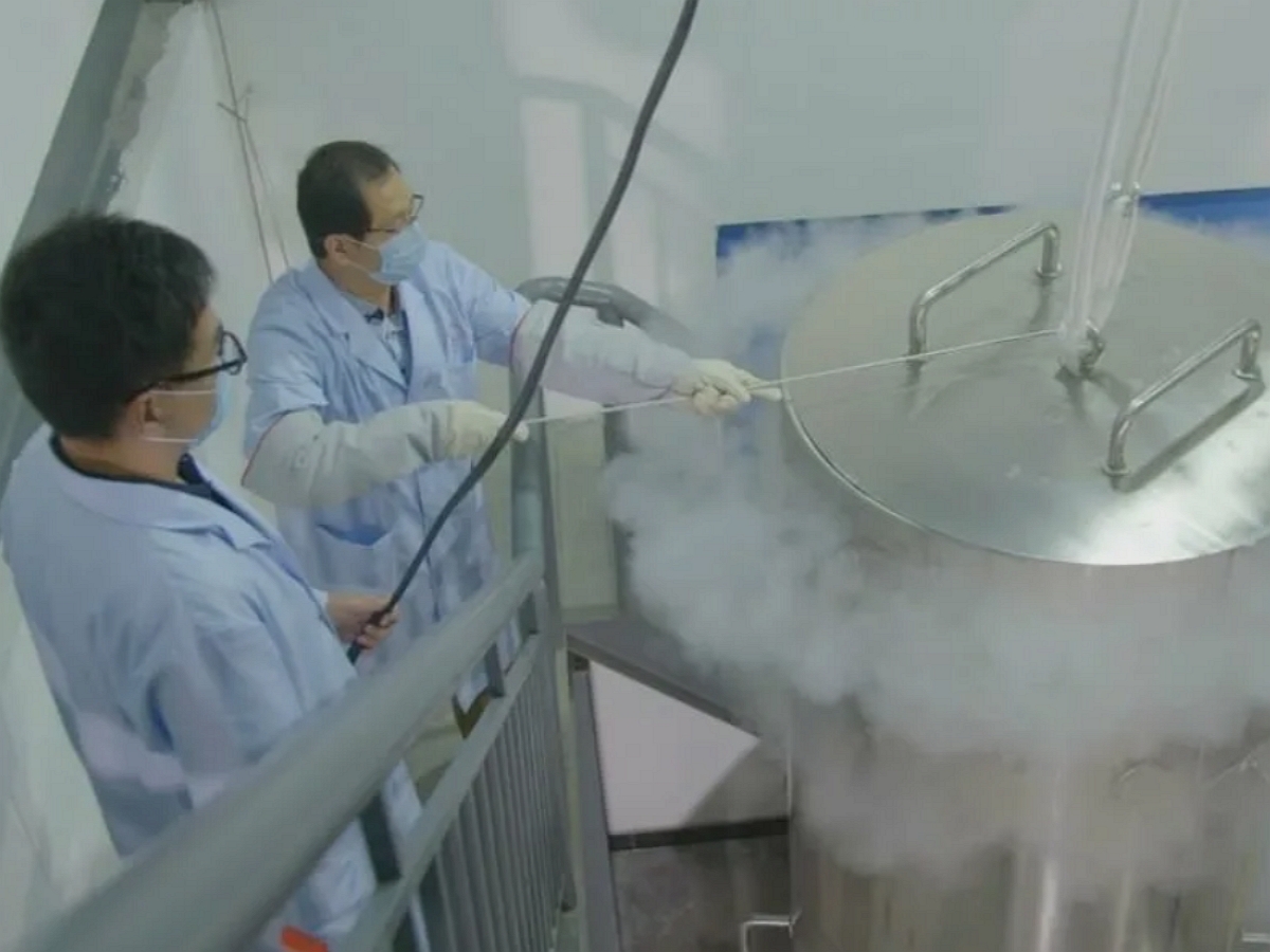 Китаец, отправивший больную жену в криогенный сон, нашел новую супругу