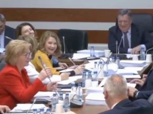 «Может быть евреем»: в Госдуме разгорелся спор о национальности Чебурашки