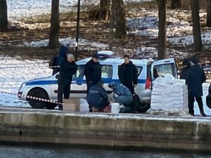На востоке Москвы найден пакет с головой школьника