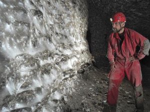 Крупнейшая в мире паутина с пауками обнаружена на границе Албании и Греции