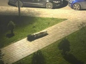 ракета Пэтриот