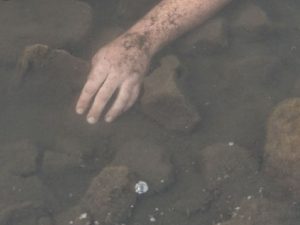 В Прикамье в рыболовных сетях нашли Четыре трупа