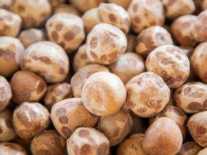 Российские школьники подсели на орех из Азии, вызывающий рак