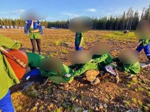 ак наказали за студенческие «лагеря извращений» в Иркутской области