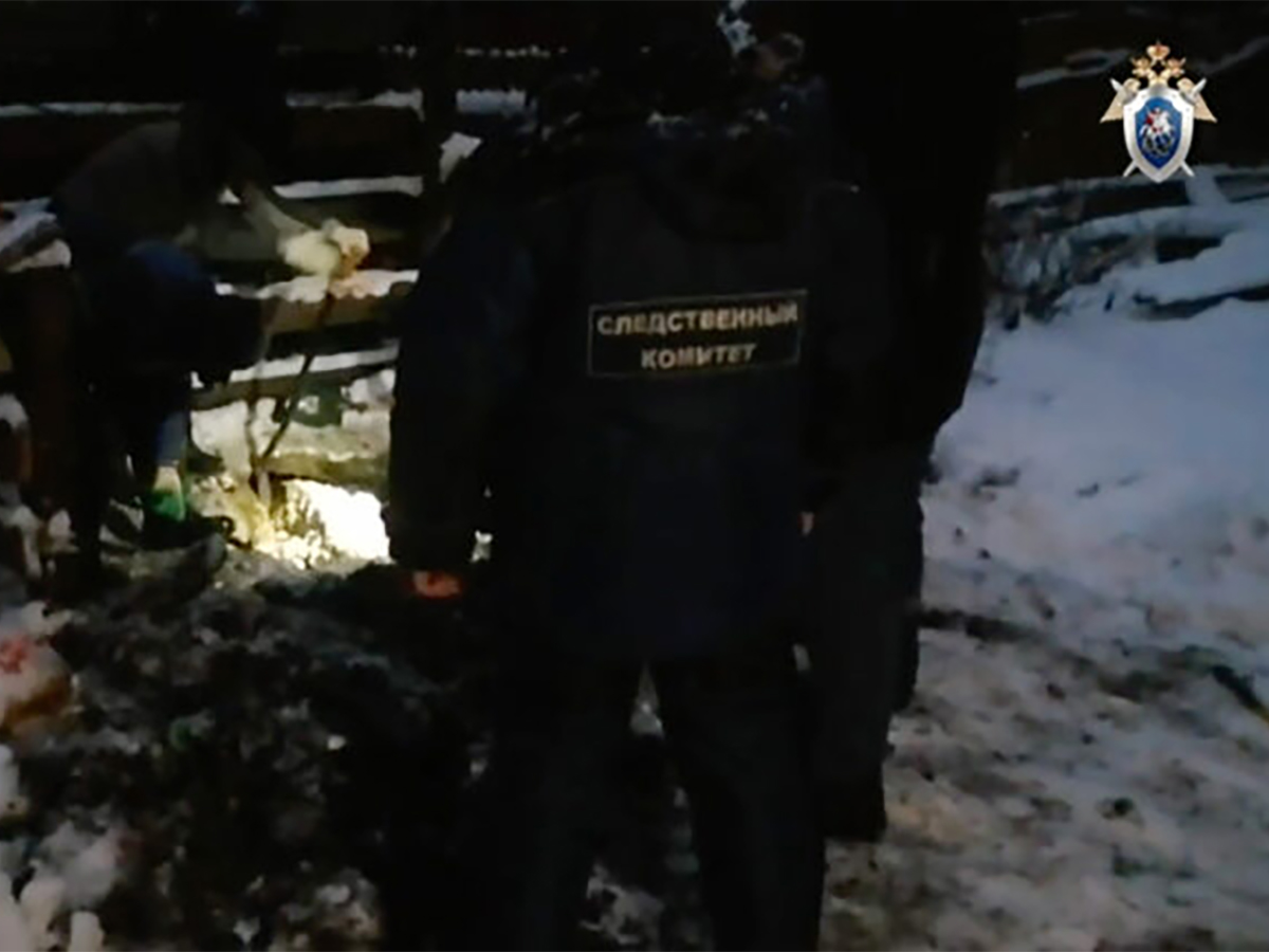 Богородский маньяк