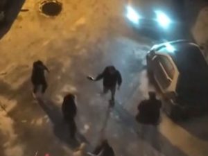 Сына зампредседателя комитета в Петербурге избили пьяные гопники