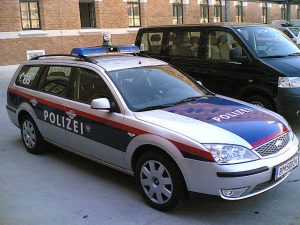 В Вене двое украинцев сожгли заживо сына заммэра Харькова