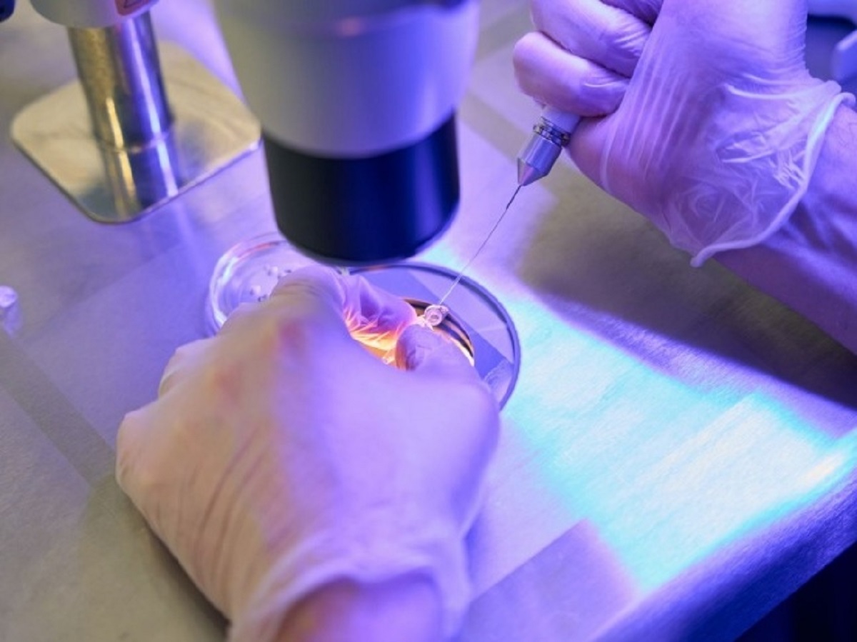 Донор спермы с мутацией рака стал отцом для 200 детей в Европе: некоторые уже умерли