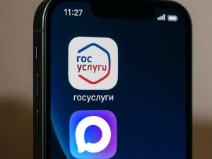 Госуслуги и Max