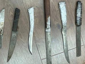 Мигранты, вооруженные заточками, готовили теракт в ростовской колонии