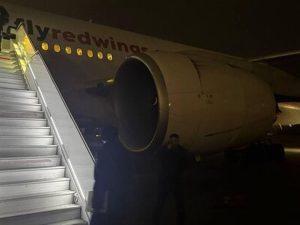 Самолет экстренно приземлился в Домодедово после возгорания двигателя