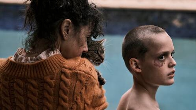 25 лучших фильмов 2025 года с захватывающими сюжетами и высокими рейтингами