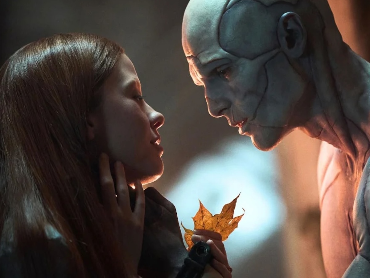 Стали известны все номинанты на «Оскар-2026»