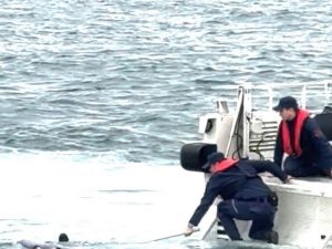 Тело пропавшего в Босфоре россиянина Свечникова нашли: опубликованы фото