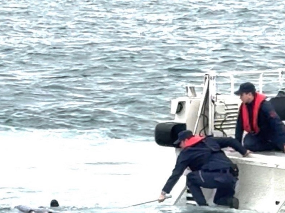 Тело пропавшего в Босфоре россиянина Свечникова нашли: опубликованы фото