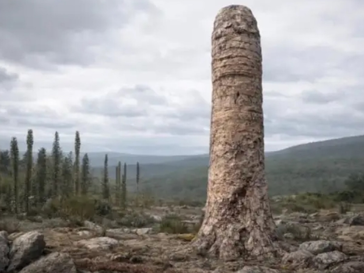 Найдена новая форма жизни, существовавшая на земле около 410 млн назад