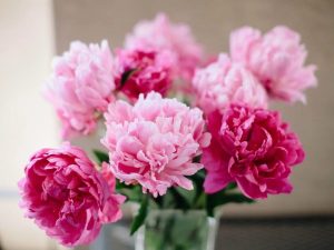 Цветы как главный акцент в моде: тренды весны-лета 2026