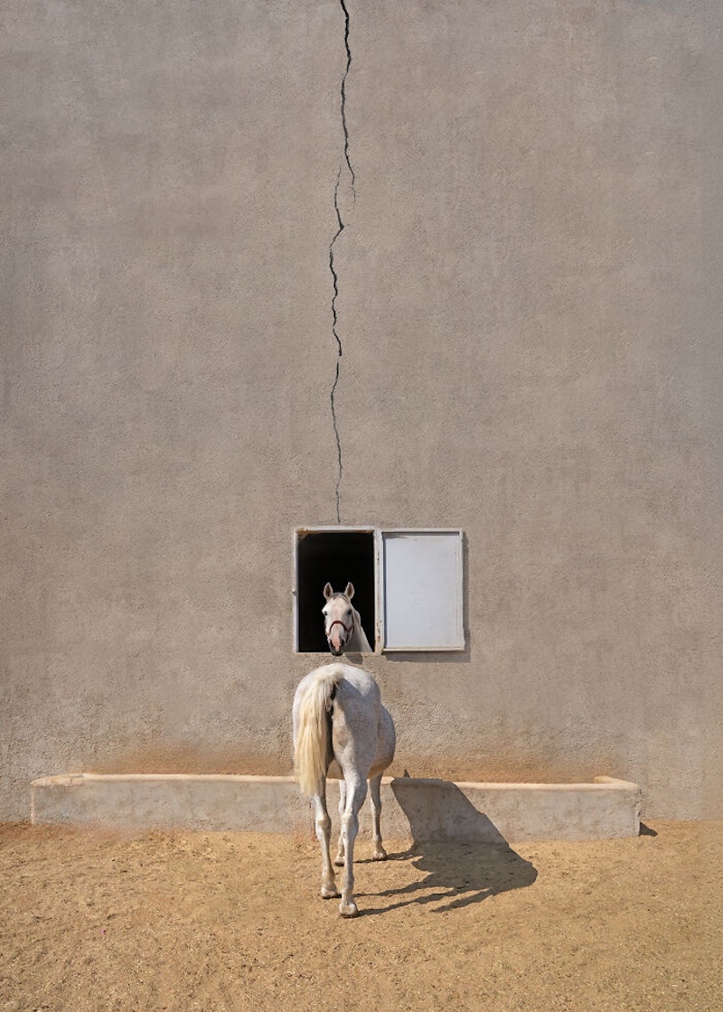 20 снимков, которые стали главными кадрами «Международного конкурса фотографии 2025 года»