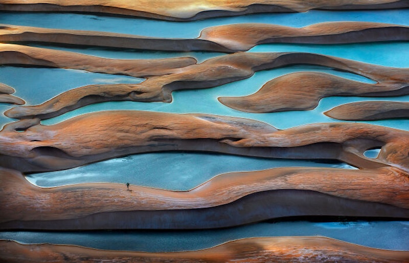 20 снимков, которые стали главными кадрами «Международного конкурса фотографии 2025 года»