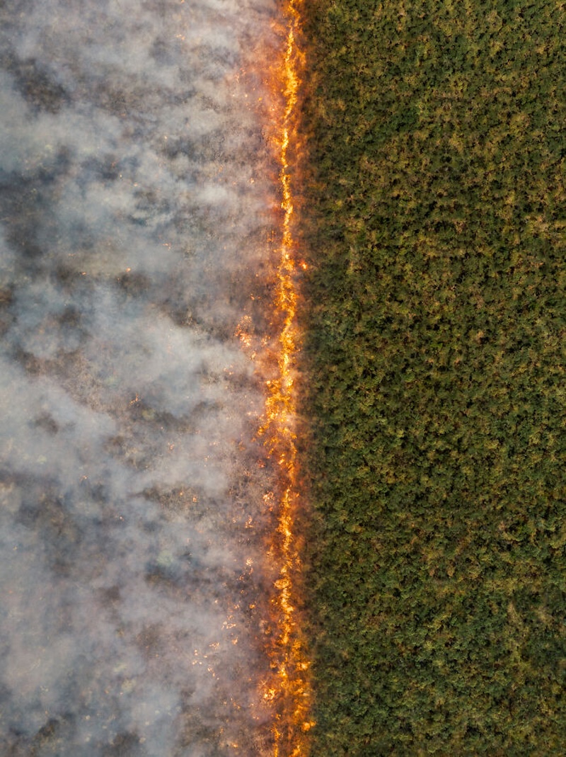 20 снимков, которые стали главными кадрами «Международного конкурса фотографии 2025 года»