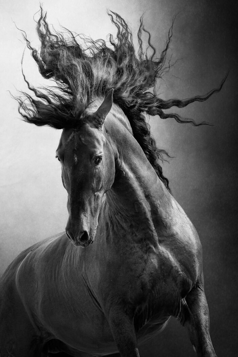 20 снимков, которые стали главными кадрами «Международного конкурса фотографии 2025 года»