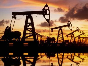 В Совфеде высказались об отношениях с Индией, отказавшейся от российской нефти