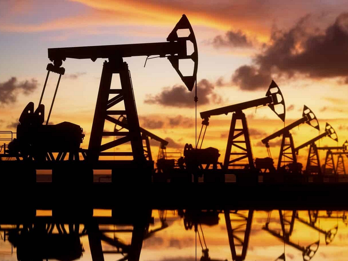 В Совфеде высказались об отношениях с Индией, отказавшейся от российской нефти