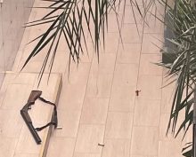 Стрельба в Анапском индустриальном колледже: погиб охранник, двое ранены