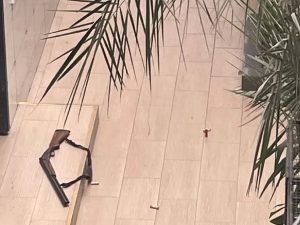 Стрельба в Анапском индустриальном колледже: погиб охранник, двое ранены