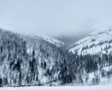 Пятеро туристов на снегоходах пропали под Пермью: людей ищут 4 день