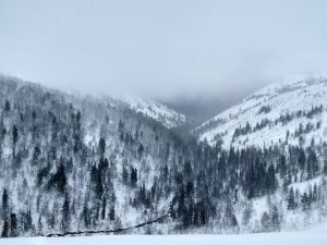 Пятеро туристов на снегоходах пропали под Пермью: людей ищут 4 день