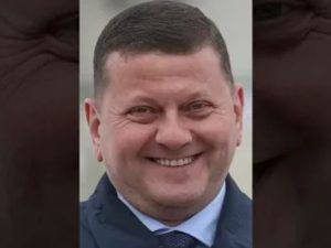 Валерий Залужный