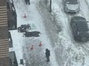 Выпал из окна