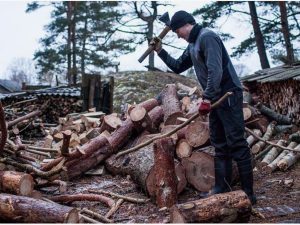 полный разрыв с Россией заставил Финляндию перейти на дрова