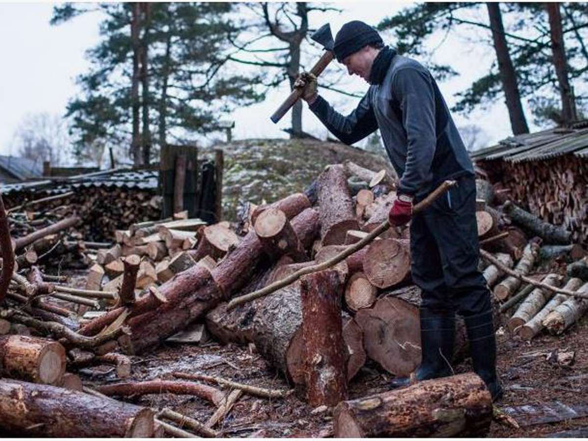 полный разрыв с Россией заставил Финляндию перейти на дрова