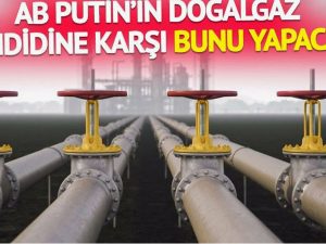 Замерзающая Прибалтика подключилась к Польше