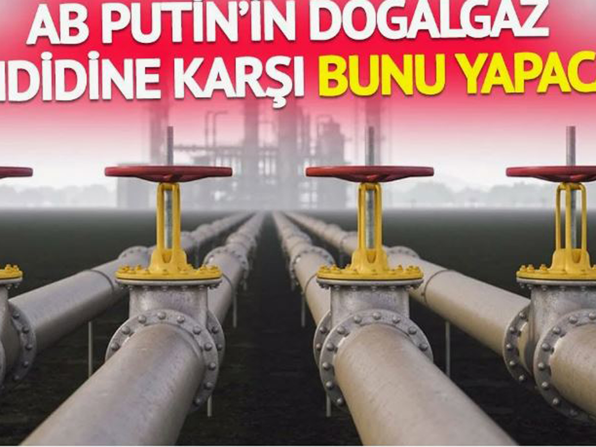 Замерзающая Прибалтика подключилась к Польше