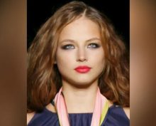 Модель Коршунова