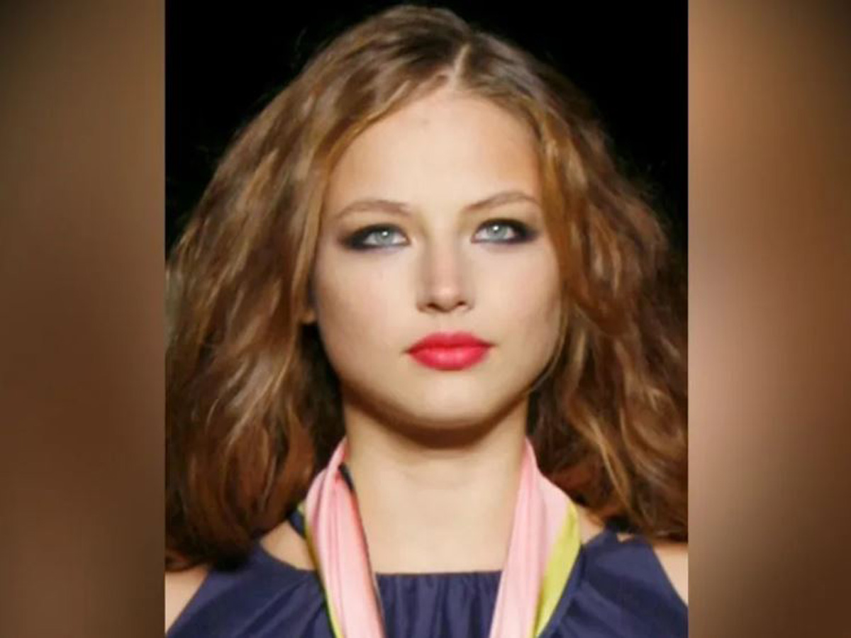 Модель Коршунова